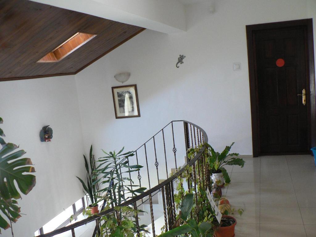 Casa Havana (Adults Only) Costinesti Bagian luar foto