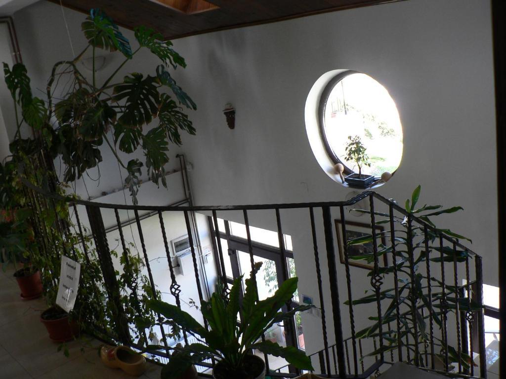 Casa Havana (Adults Only) Costinesti Bagian luar foto