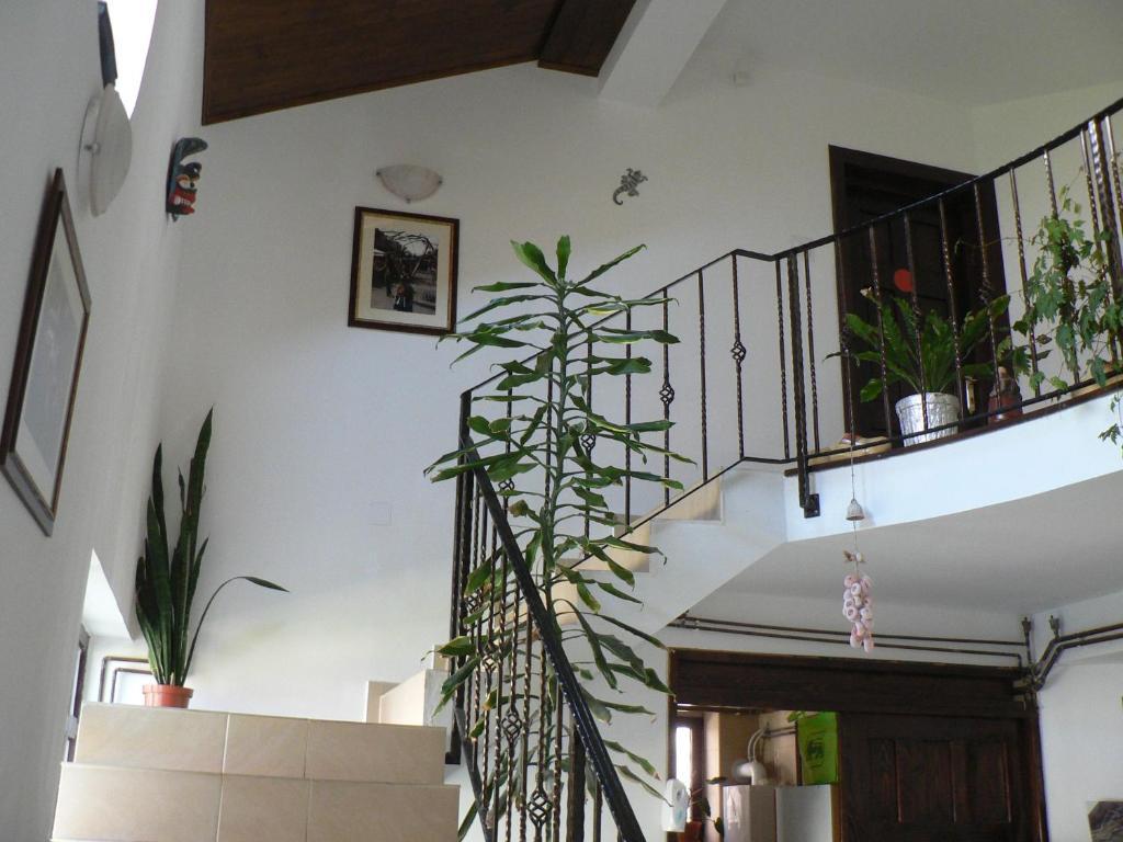 Casa Havana (Adults Only) Costinesti Bagian luar foto
