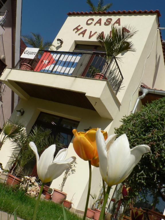 Casa Havana (Adults Only) Costinesti Bagian luar foto