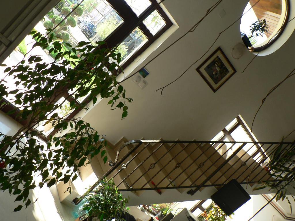 Casa Havana (Adults Only) Costinesti Bagian luar foto