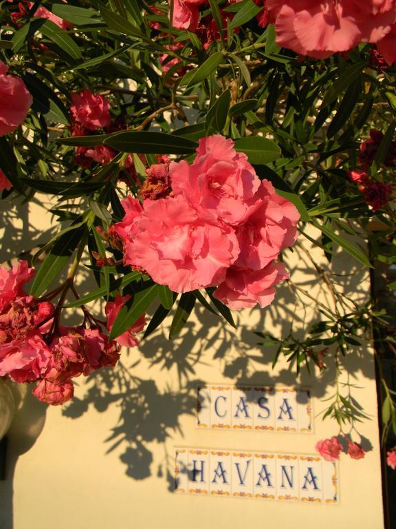 Casa Havana (Adults Only) Costinesti Bagian luar foto