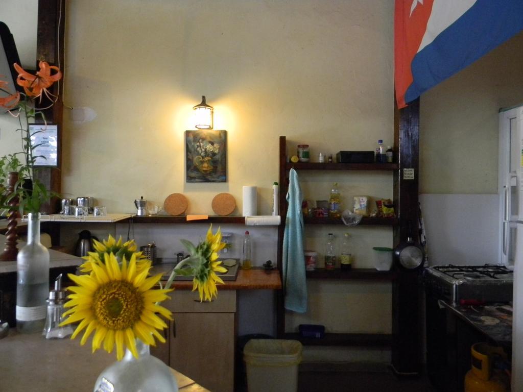 Casa Havana (Adults Only) Costinesti Bagian luar foto